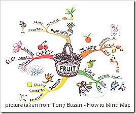tony-buzan-fruit-mindmap